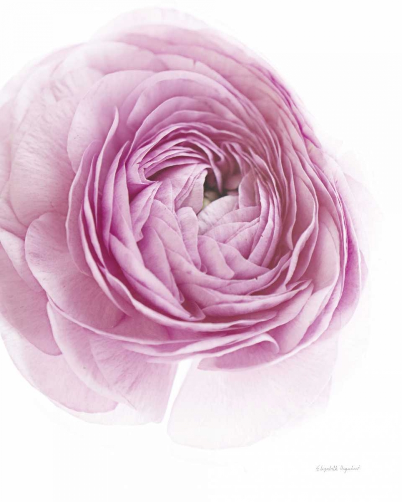 Similar wall art painting: 175237