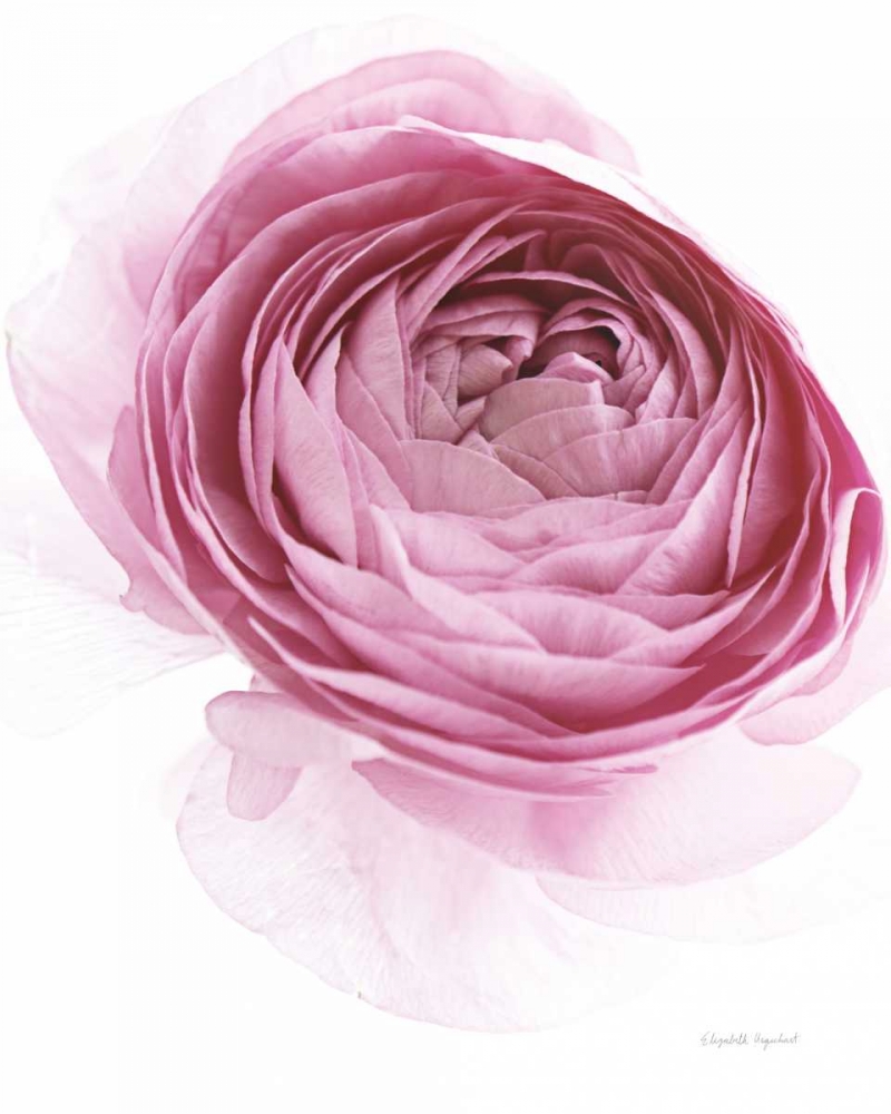 Similar wall art painting: 175238