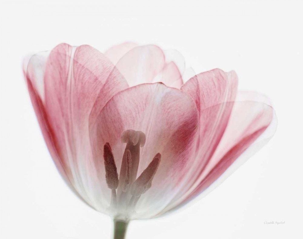 Similar wall art painting: 170684