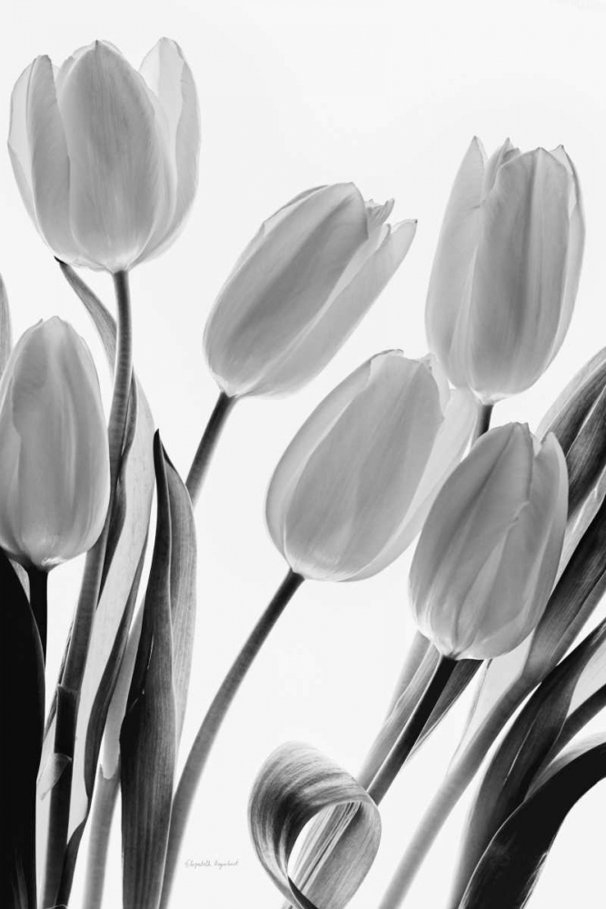 Similar wall art painting: 170798