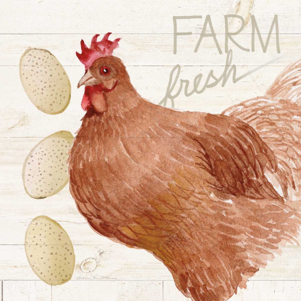 Wall Art Painting id:172122, Name: Life on the Farm Chicken II, Artist: McKenna, Kathleen Parr