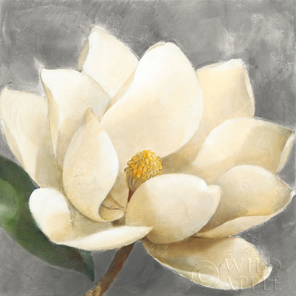 Wall Art Painting id:192525, Name: Magnolia Blossom on Gray, Artist: Hristova, Albena