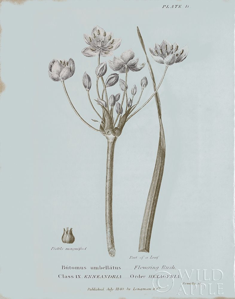 Similar wall art painting: 220408