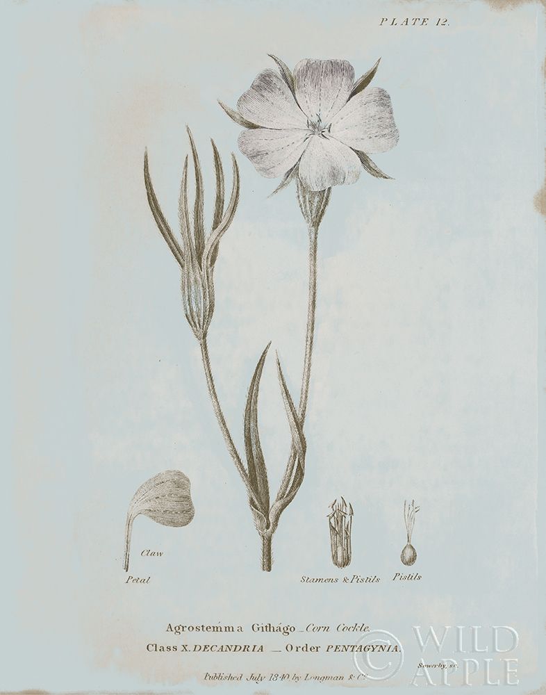 Similar wall art painting: 220409