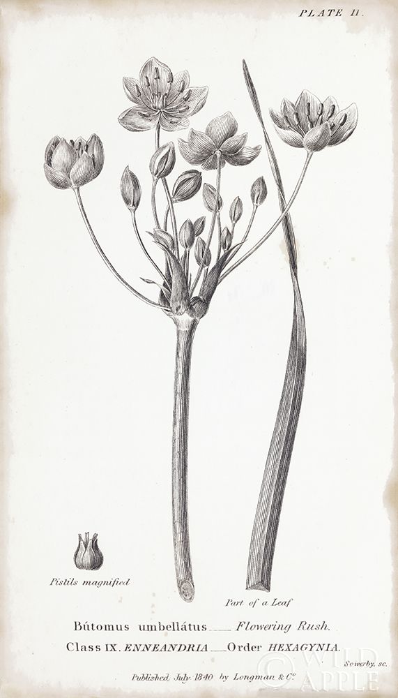 Similar wall art painting: 199373