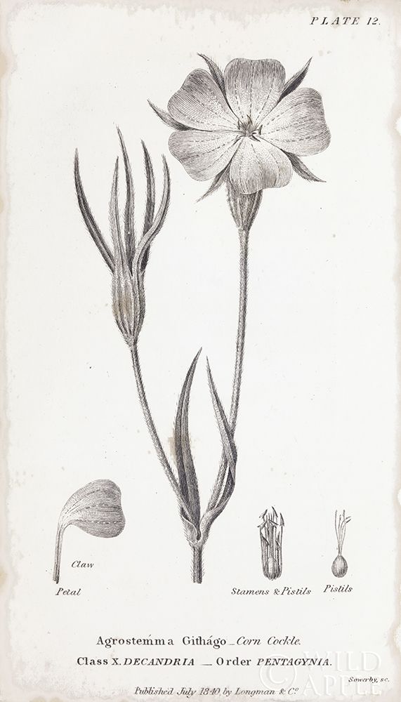 Similar wall art painting: 199374