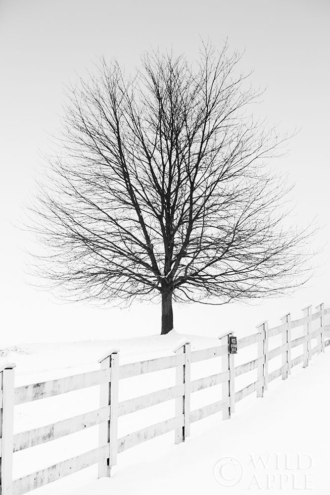 Similar wall art painting: 194968