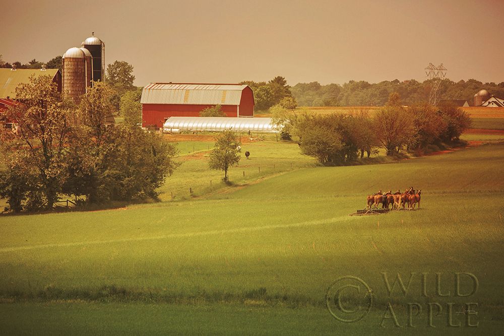 Wall Art Painting id:198438, Name: Fall Farm, Artist: Aledanda