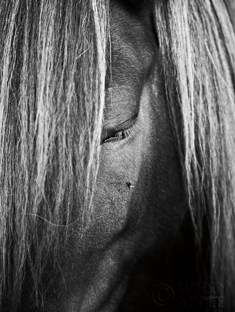 Similar wall art painting: 194895