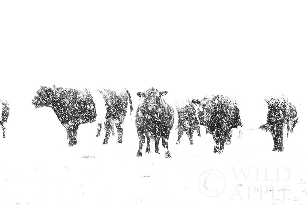 Similar wall art painting: 194956