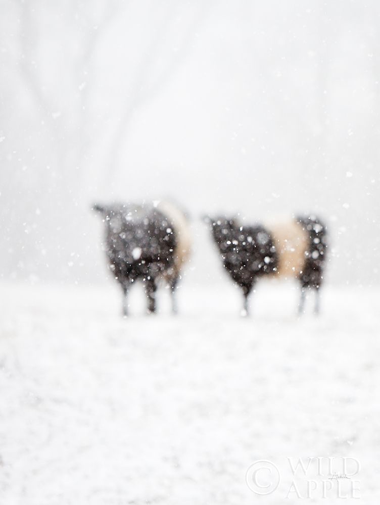 Similar wall art painting: 194954