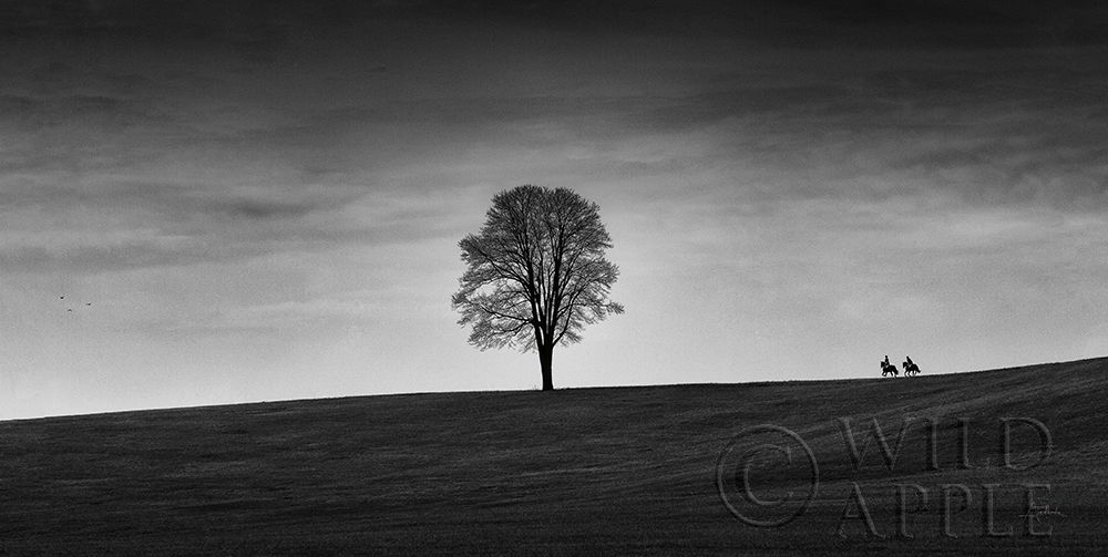 Similar wall art painting: 194875