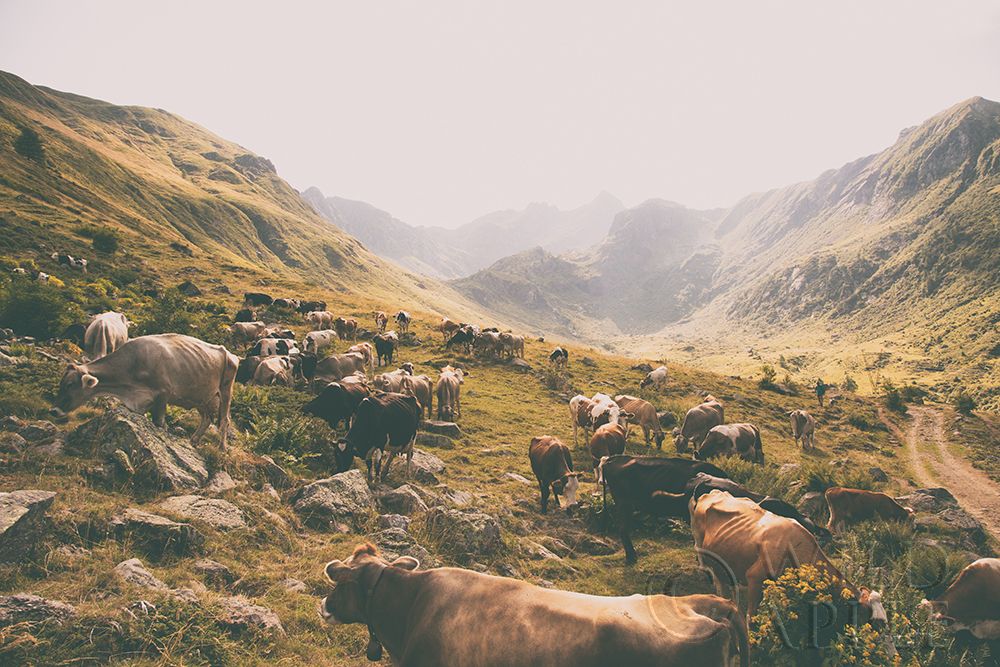 Similar wall art painting: 194887