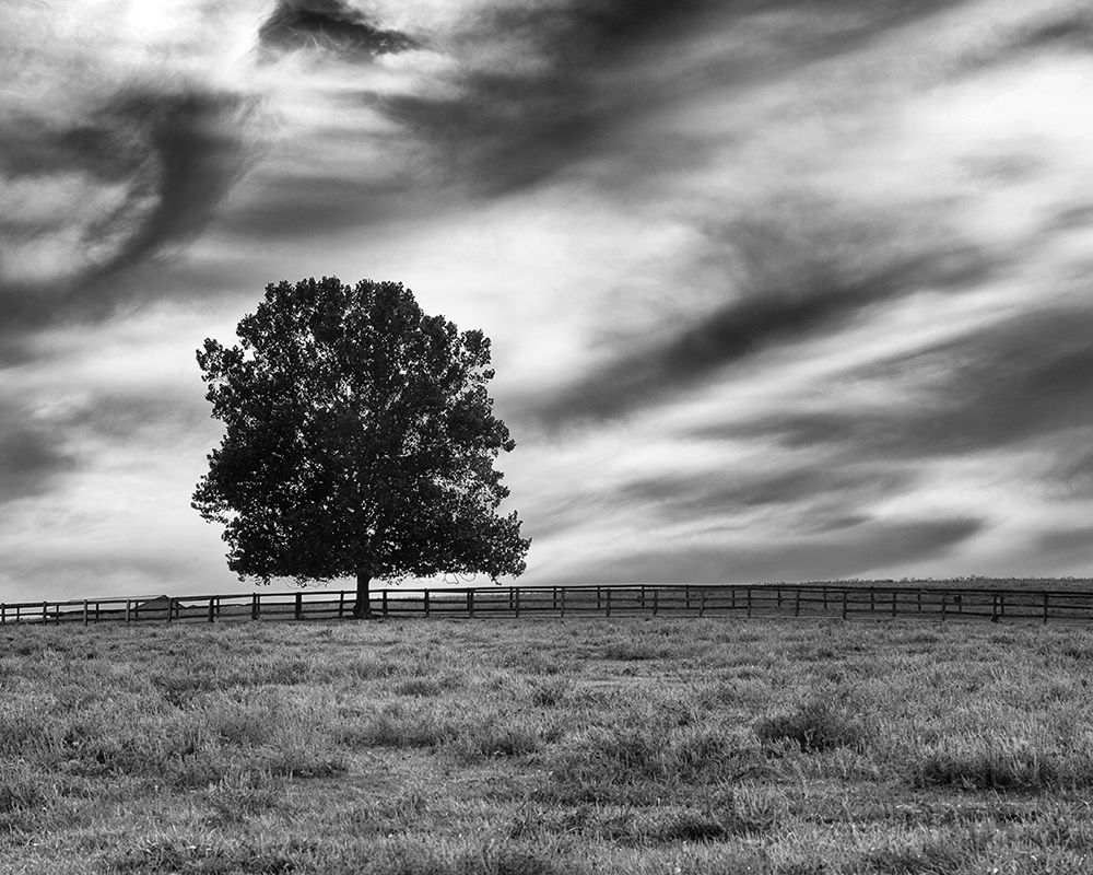 Similar wall art painting: 194876