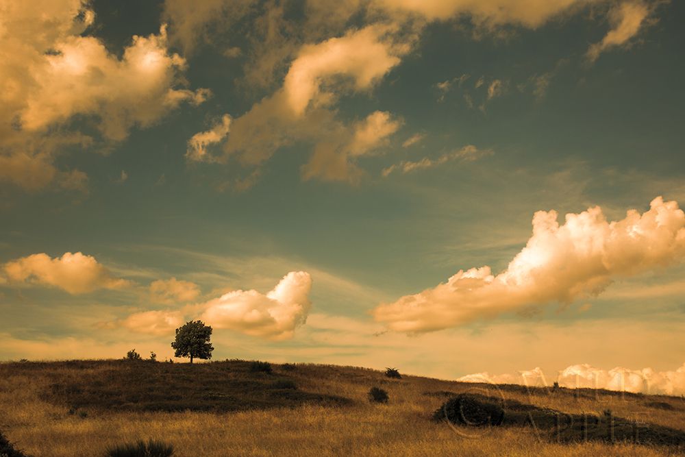 Wall Art Painting id:198448, Name: What Beautiful Clouds, Artist: Aledanda