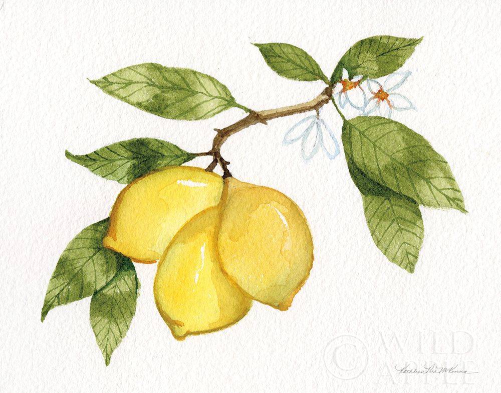 Wall Art Painting id:198460, Name: Citrus Garden I, Artist: McKenna, Kathleen Parr