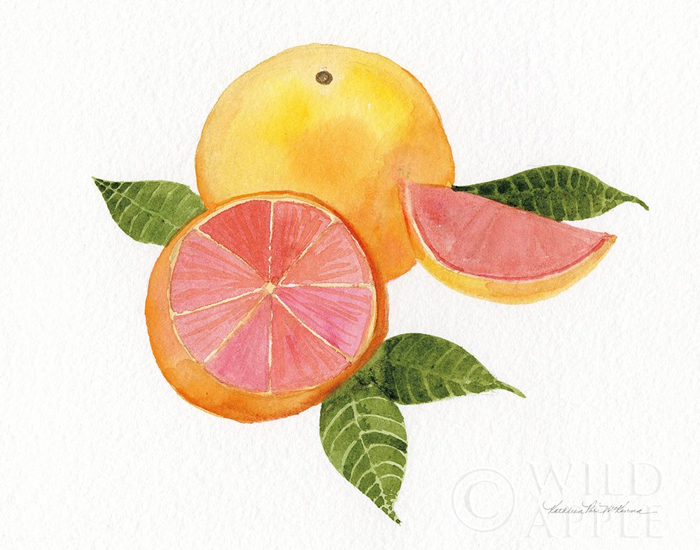 Wall Art Painting id:198469, Name: Citrus Garden X, Artist: McKenna, Kathleen Parr