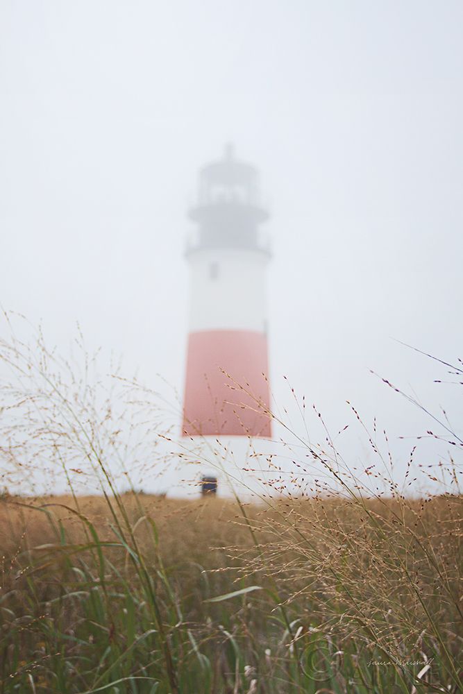 Wall Art Painting id:201838, Name: Sankaty Head in the Fog, Artist: Marshall, Laura