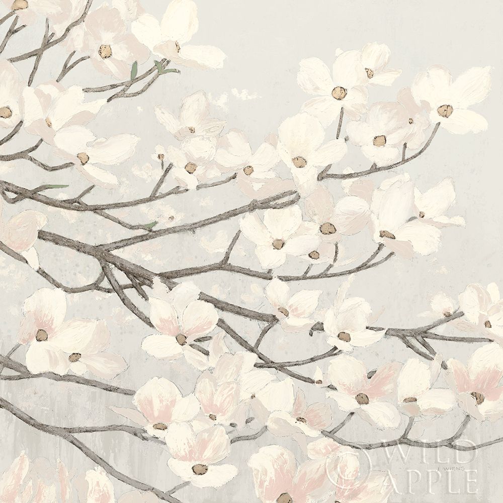 Wall Art Painting id:212886, Name: Dogwood Blossoms II Gray, Artist: Wiens, James