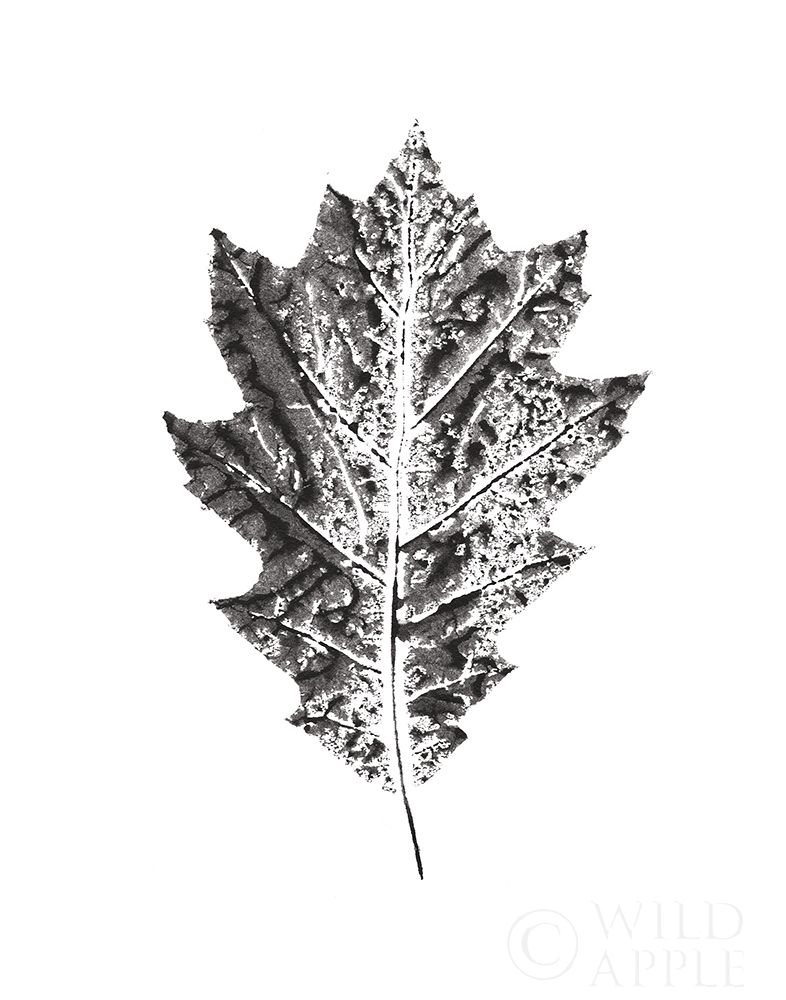 Similar wall art painting: 208804