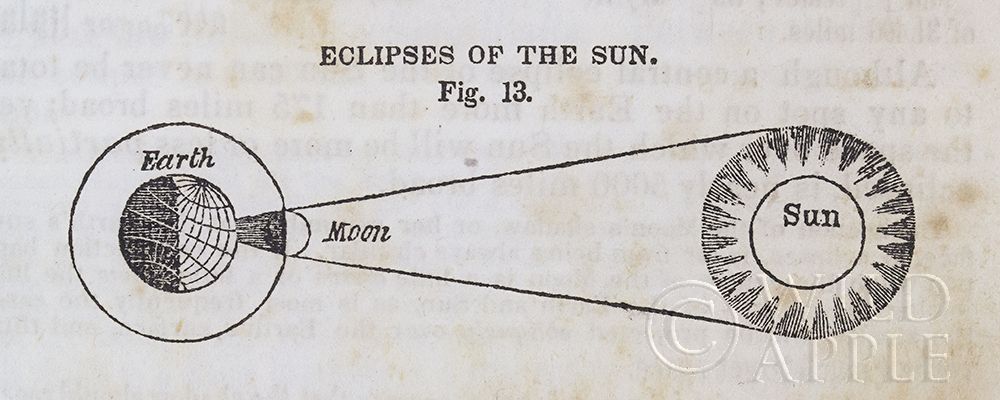 Similar wall art painting: 211353