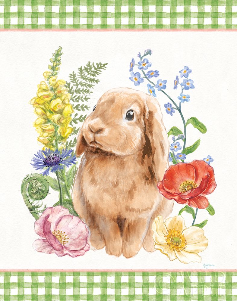 Wall Art Painting id:211476, Name: Sunny Bunny I Checker Border, Artist: Urban, Mary