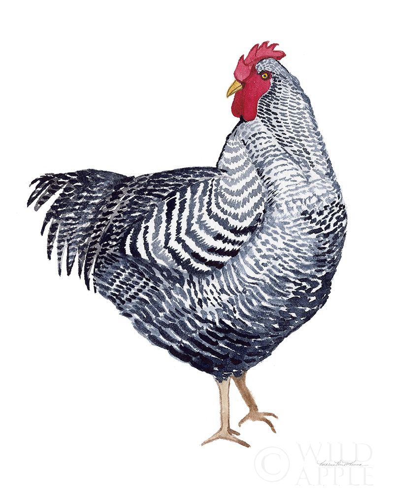 Wall Art Painting id:211483, Name: Life on the Farm Chicken Element I, Artist: McKenna, Kathleen Parr