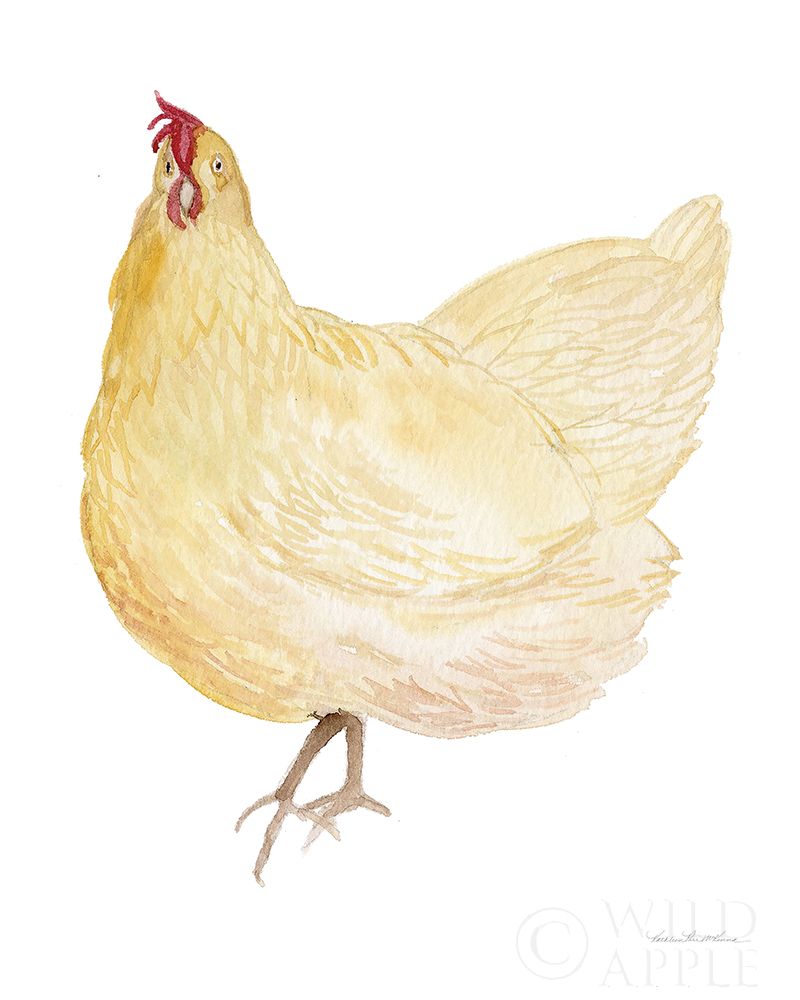 Wall Art Painting id:211482, Name: Life on the Farm Chicken Element II, Artist: McKenna, Kathleen Parr