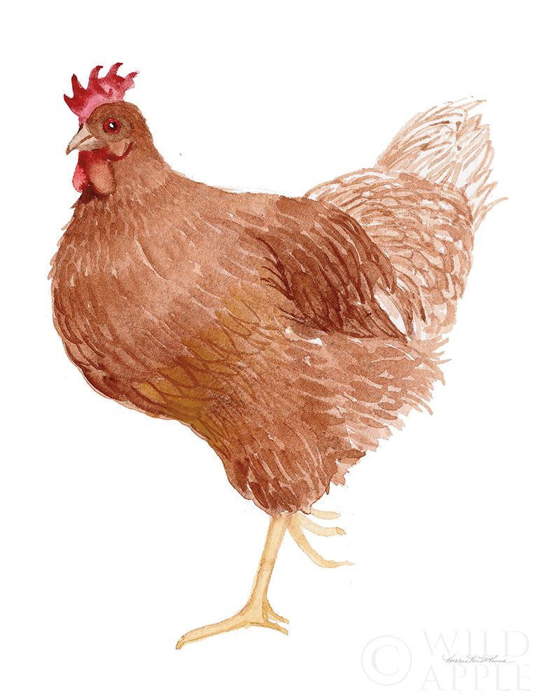 Wall Art Painting id:211480, Name: Life on the Farm Chicken Element IV, Artist: McKenna, Kathleen Parr