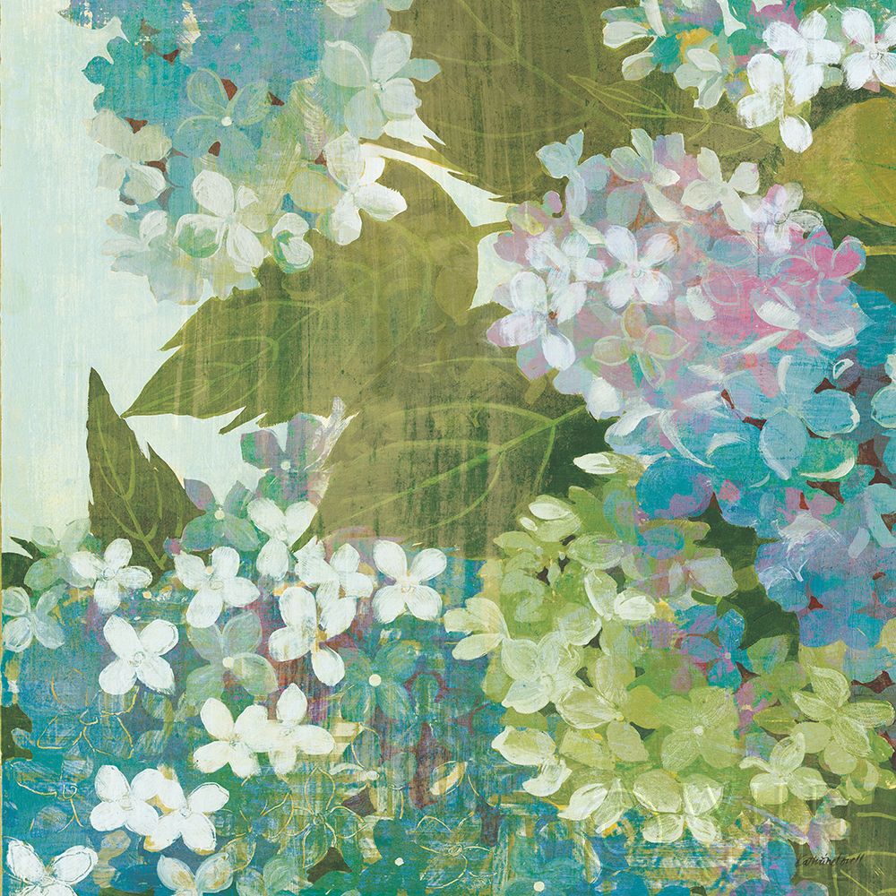 Wall Art Painting id:387634, Name: Grandiflora Bloom II, Artist: Lovell, Kathrine