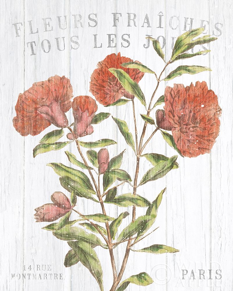 Wall Art Painting id:213091, Name: Fleuriste Paris III, Artist: Wild Apple Portfolio