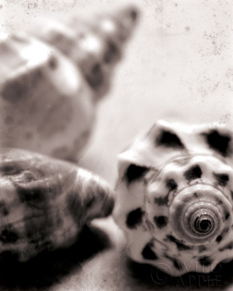 Similar wall art painting: 254780