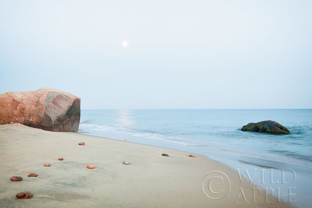 Similar wall art painting: 304673