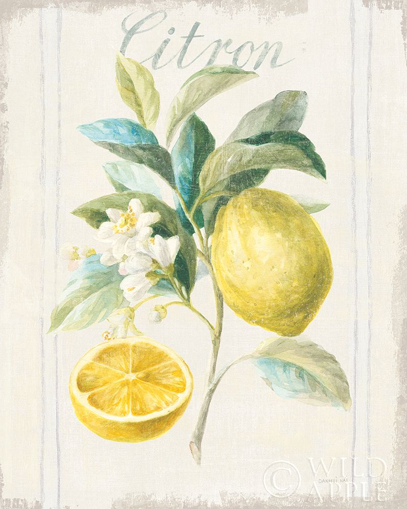 Wall Art Painting id:221836, Name: Floursack Lemon IV v2, Artist: Nai, Danhui