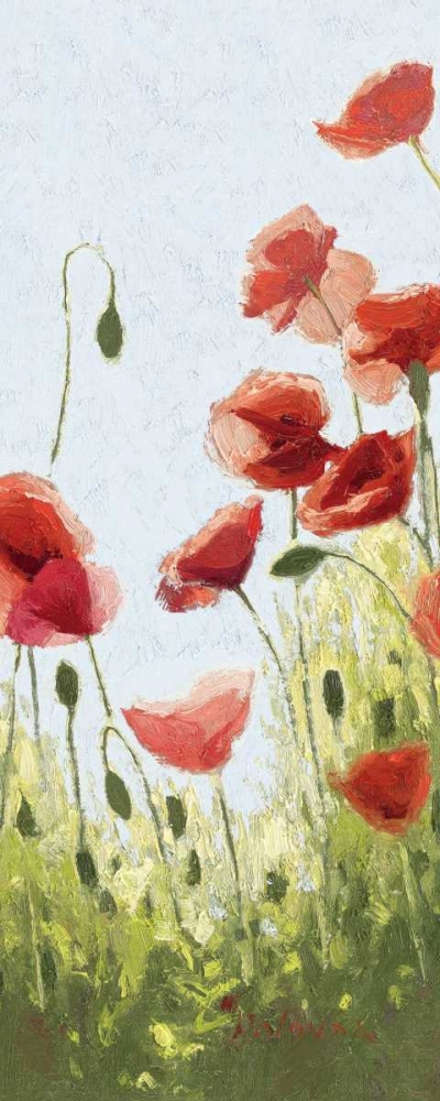 Art Print: Mountain Poppies II - Wag