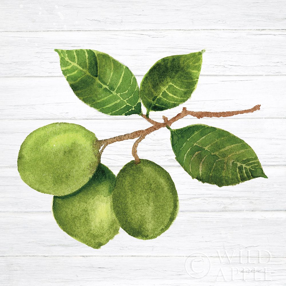 Wall Art Painting id:252387, Name: Citrus Garden II Shiplap, Artist: McKenna, Kathleen Parr