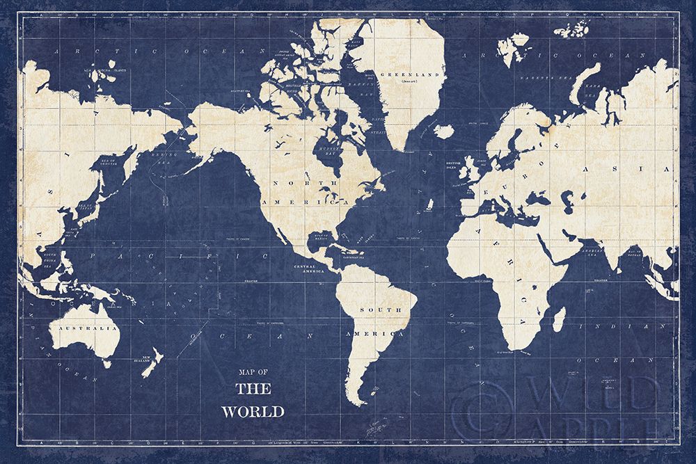 Wall Art Painting id:231483, Name: Blueprint World Map, Artist: Schlabach, Sue