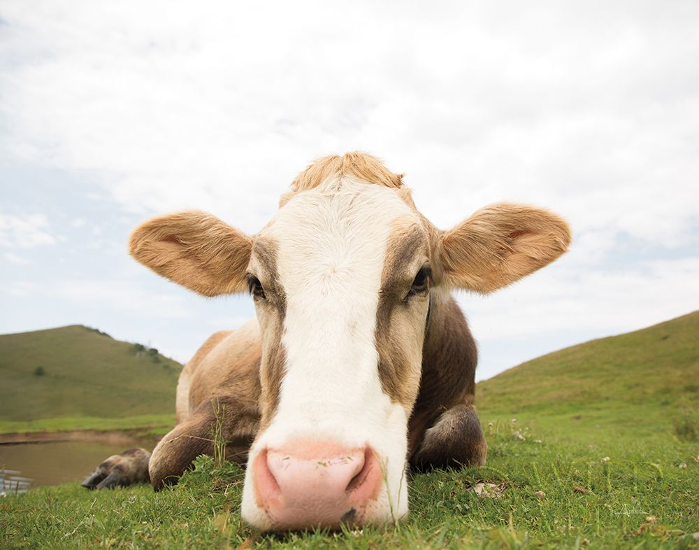 Similar wall art painting: 257833