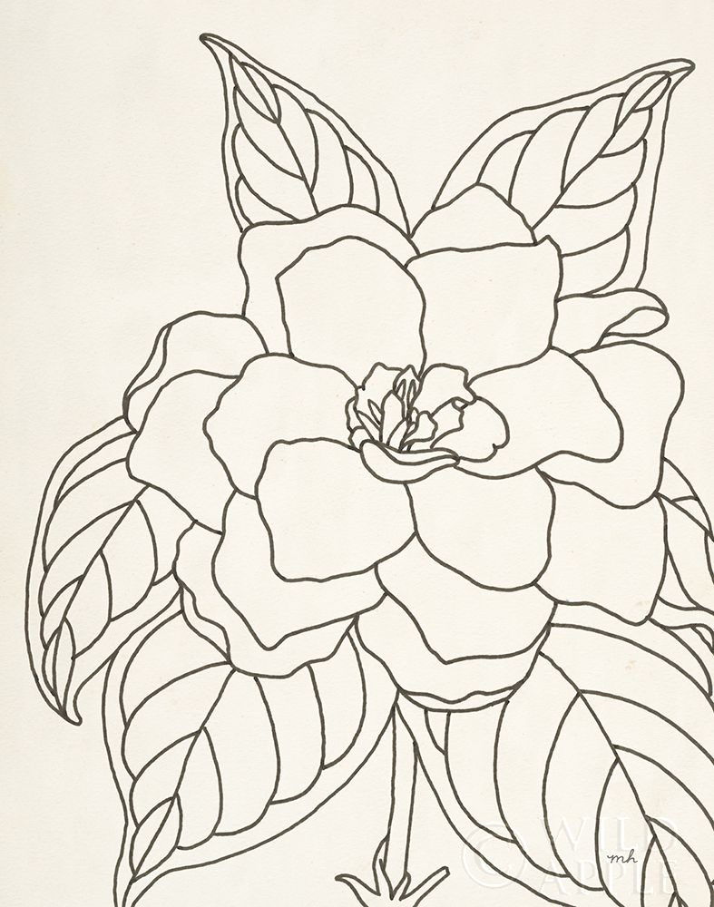Wall Art Painting id:247381, Name: Gardenia Line Drawing Crop, Artist: Hershey, Moira