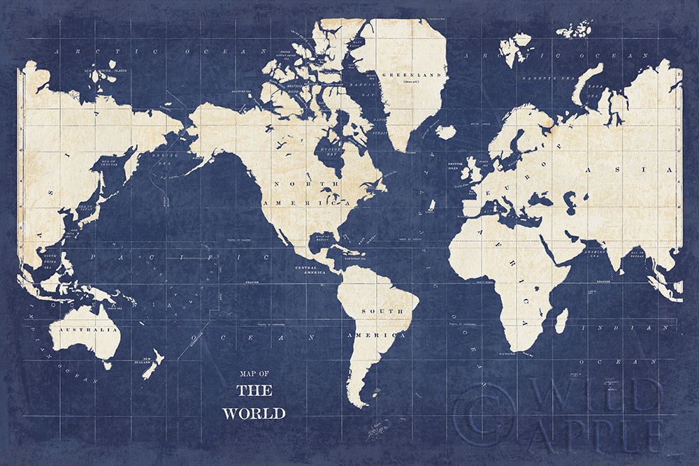 Wall Art Painting id:265471, Name: Blueprint World Map - No Border, Artist: Schlabach, Sue