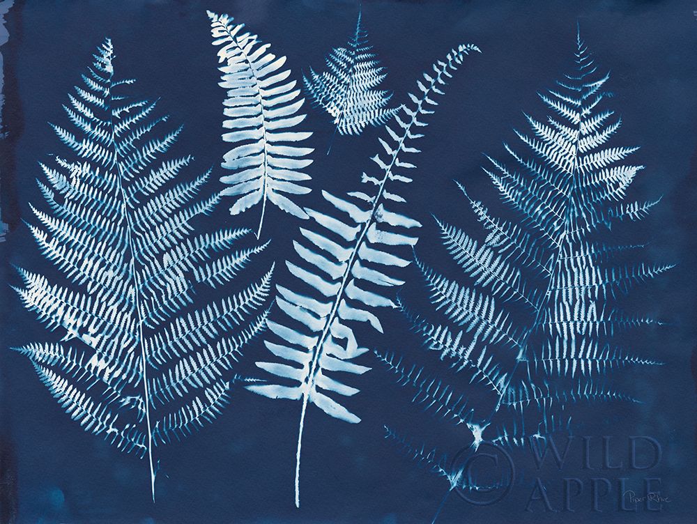 Wall Art Painting id:257976, Name: Nature By The Lake - Ferns I, Artist: Rhue, Piper