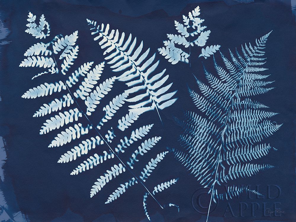Wall Art Painting id:257977, Name: Nature By The Lake - Ferns II, Artist: Rhue, Piper