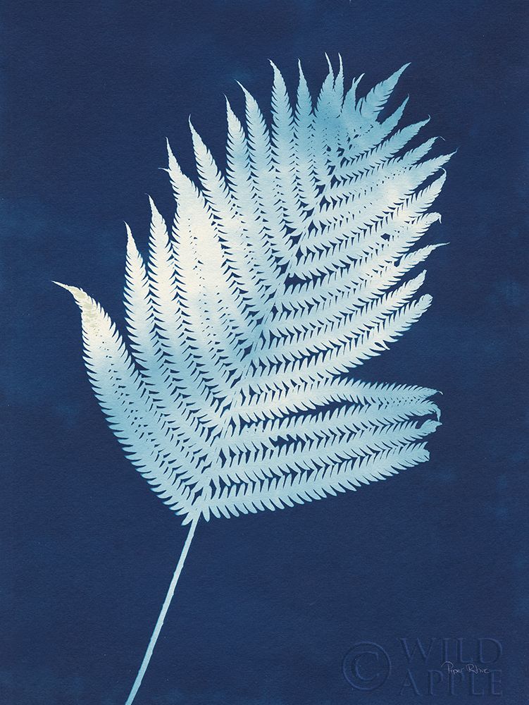 Wall Art Painting id:257978, Name: Nature By The Lake - Ferns III, Artist: Rhue, Piper