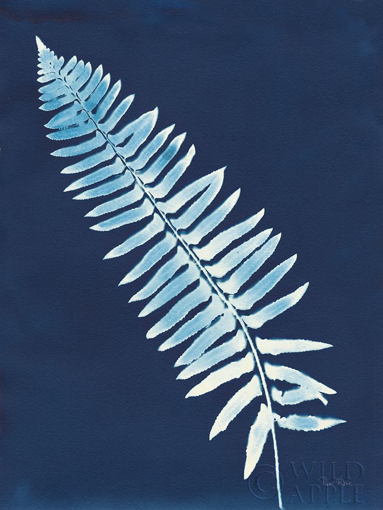 Wall Art Painting id:257979, Name: Nature By The Lake - Ferns IV, Artist: Rhue, Piper