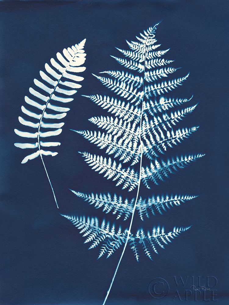 Wall Art Painting id:257980, Name: Nature By The Lake - Ferns V, Artist: Rhue, Piper