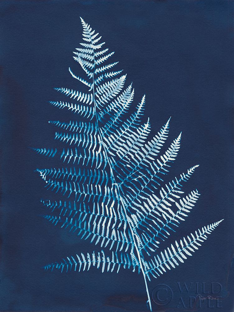 Wall Art Painting id:257981, Name: Nature By The Lake - Ferns VI, Artist: Rhue, Piper