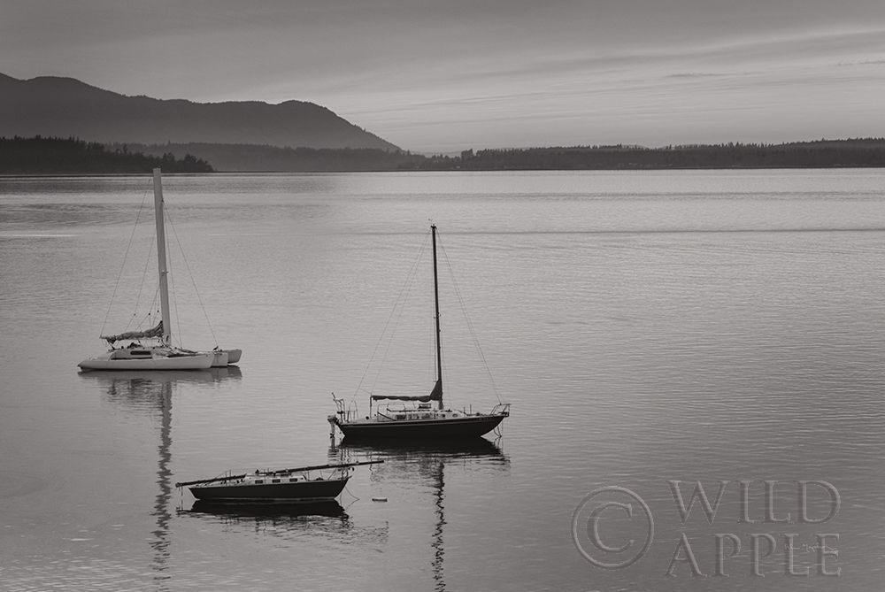 Wall Art Painting id:281926, Name: Bellingham Bay BW, Artist: Majchrowicz, Alan