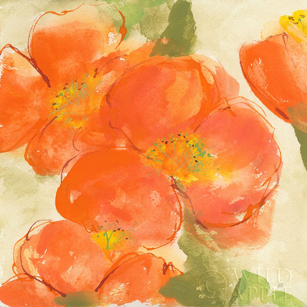 Wall Art Painting id:261967, Name: Tangerine Poppies I, Artist: Paschke, Chris
