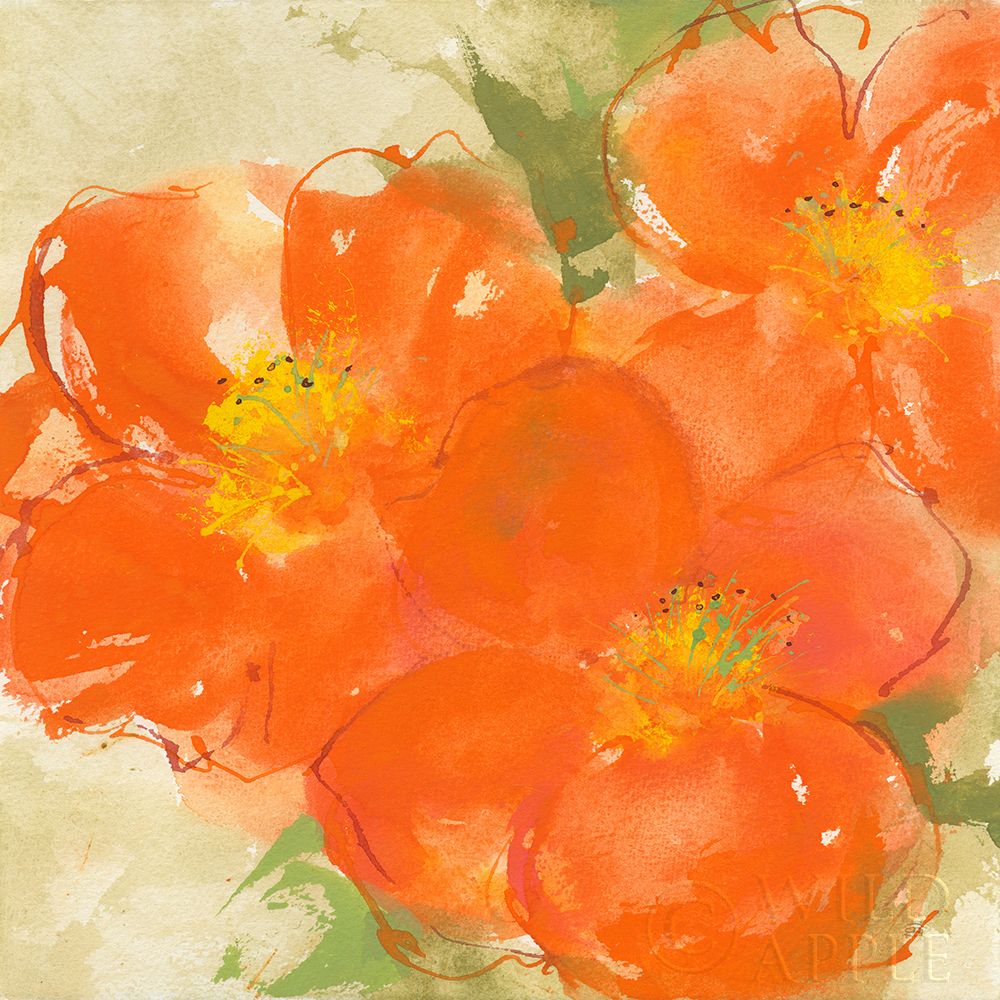 Wall Art Painting id:261968, Name: Tangerine Poppies II, Artist: Paschke, Chris