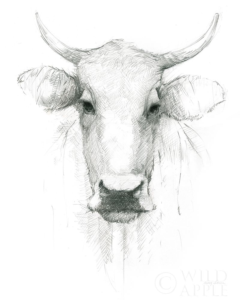 Wall Art Painting id:329492, Name: Cow Sketch, Artist: Tillmon, Avery